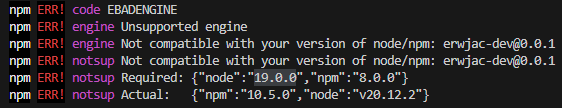 NPM Error